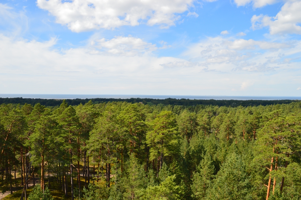 DSC_0381.JPG